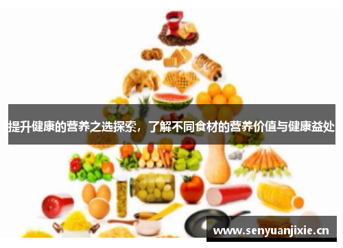 提升健康的营养之选探索，了解不同食材的营养价值与健康益处