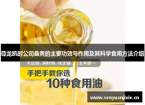 尊龙凯时公司桑黄的主要功效与作用及其科学食用方法介绍