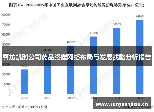 尊龙凯时公司药品终端网络布局与发展战略分析报告