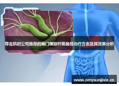 尊龙凯时公司推荐的幽门螺旋杆菌最佳治疗方案及其效果分析