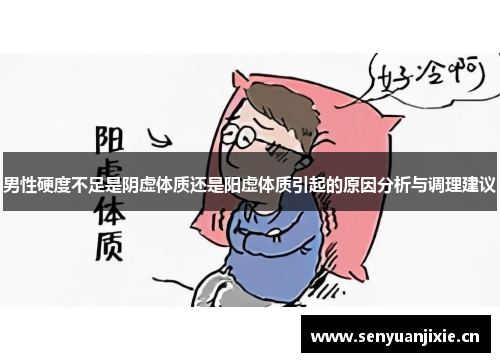 男性硬度不足是阴虚体质还是阳虚体质引起的原因分析与调理建议